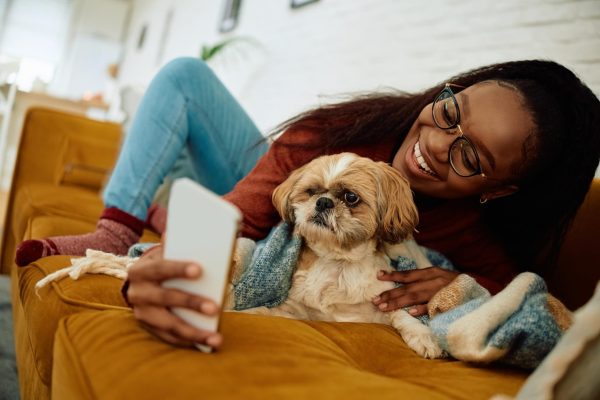 pet business software precise petcare setup