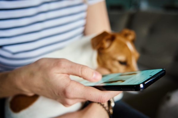 Precise Petcare pet business software