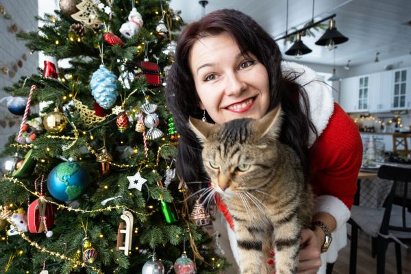 pet business holiday prep cat sitter christmas